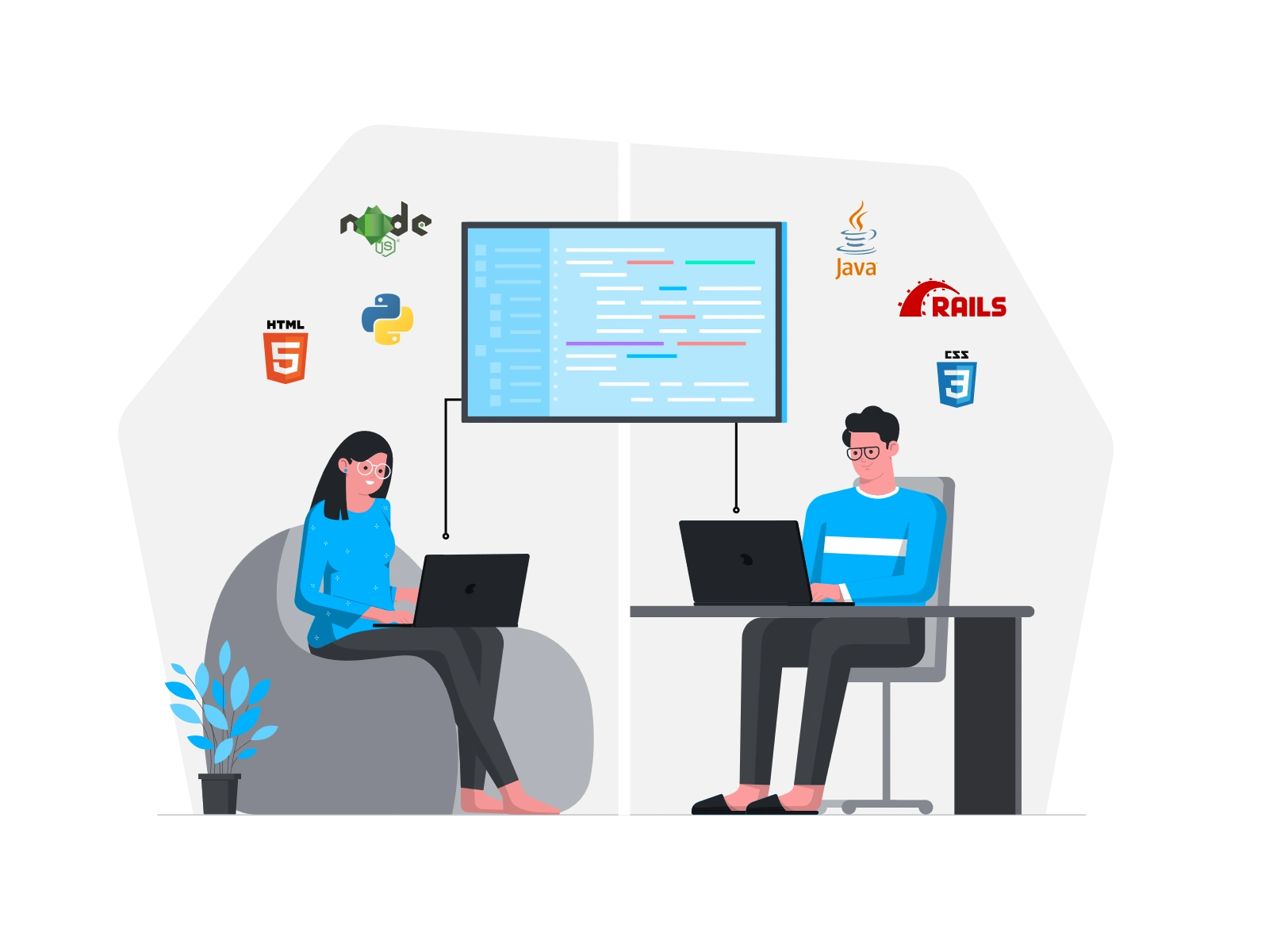 Software Development